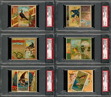 1888 N37 Allen & Ginter "Birds of America" Large Cards Partial Set (30/50) - #2 on the PSA Set Registry!